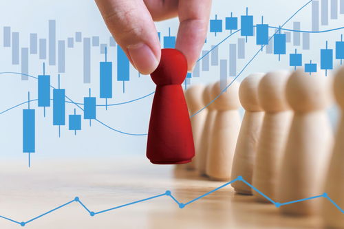 市場(chǎng)出清與巨頭入場(chǎng) 小貸行業(yè)在洗牌中重塑信息咨詢服務(wù)